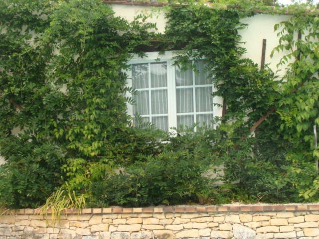 Le Guinguetton Chambre D'Hotes Prigonrieux 外观 照片
